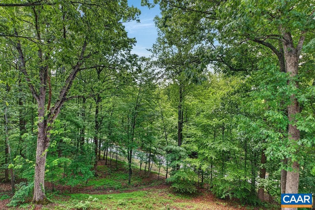 220 Saddleback Knl photo 37