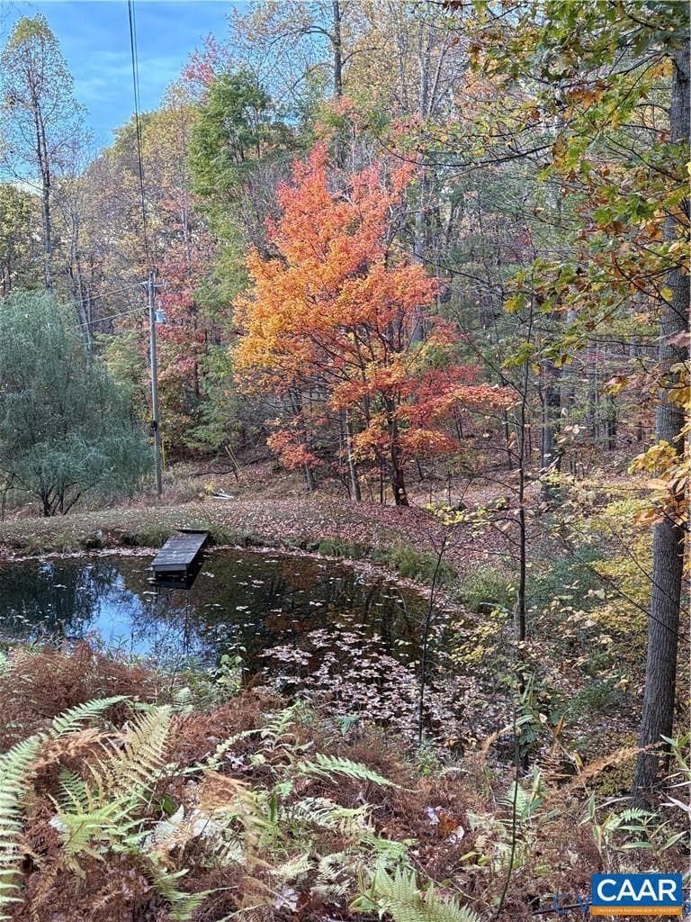 270 Little Cabin Rd photo 45