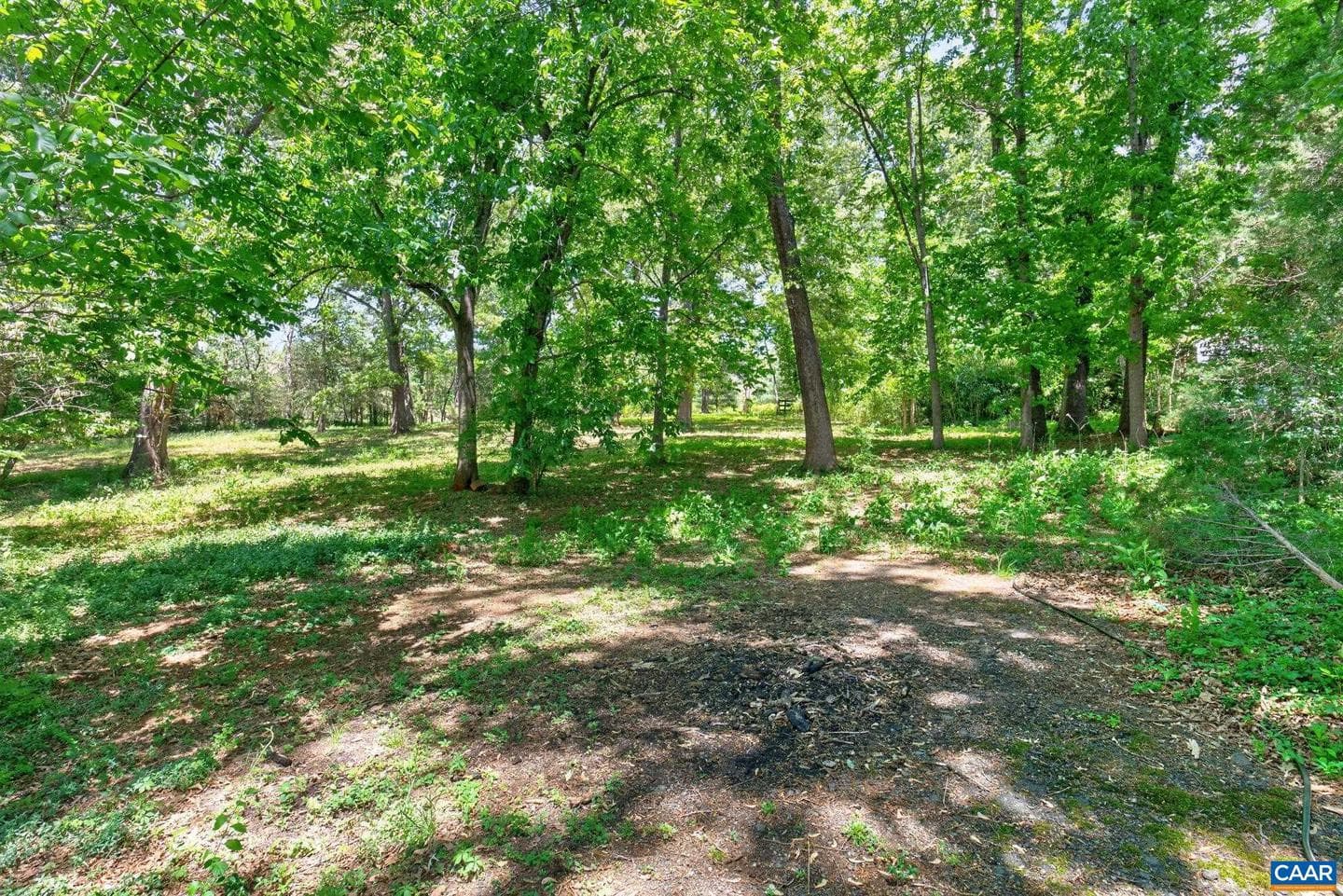 4362 Ivy Rd photo 42