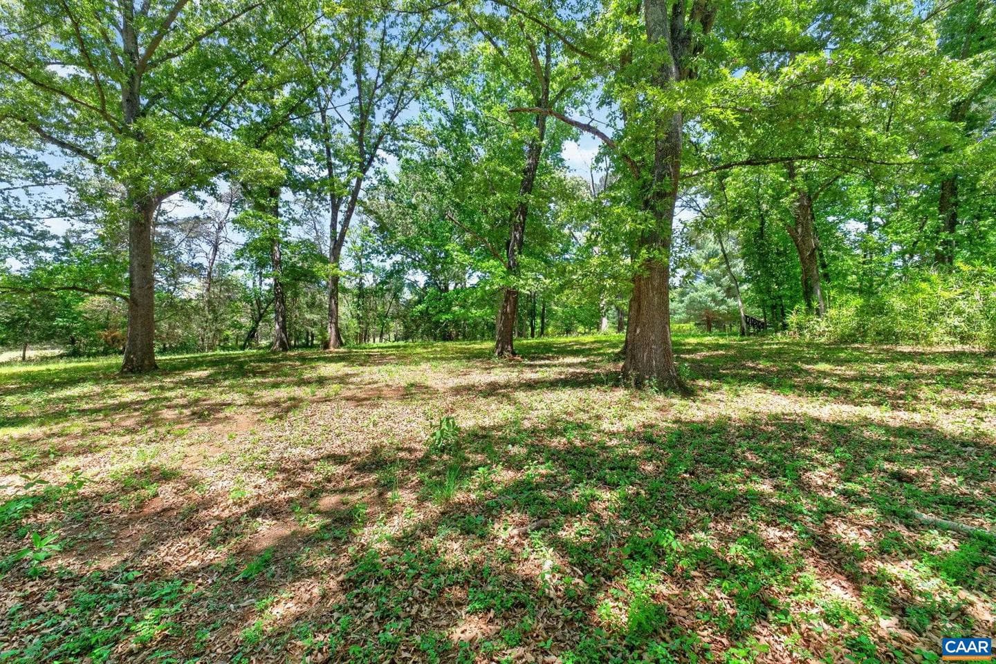 4362 Ivy Rd photo 43