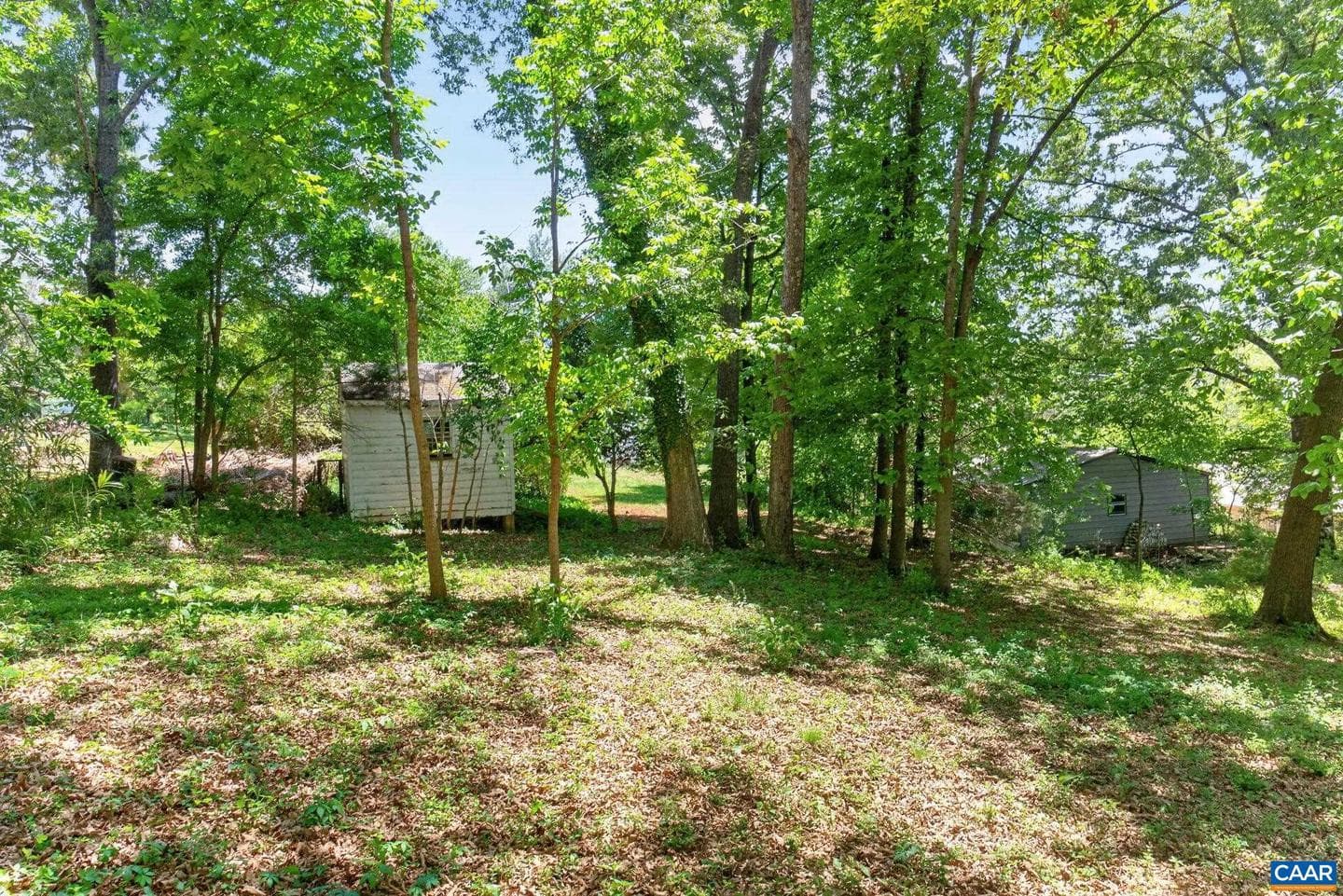 4362 Ivy Rd photo 48