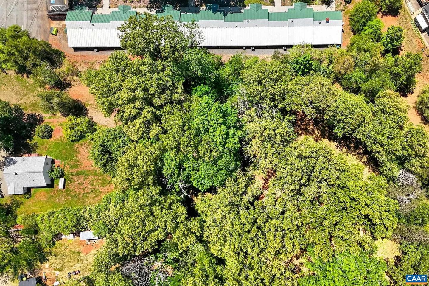 4362 Ivy Rd photo 68