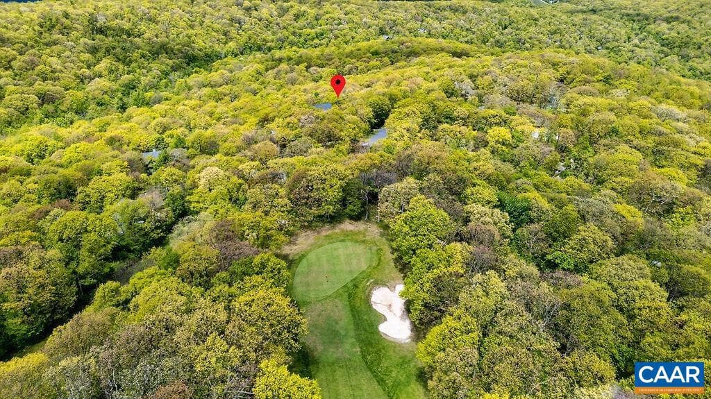 45 Timber Camp Dr photo 59