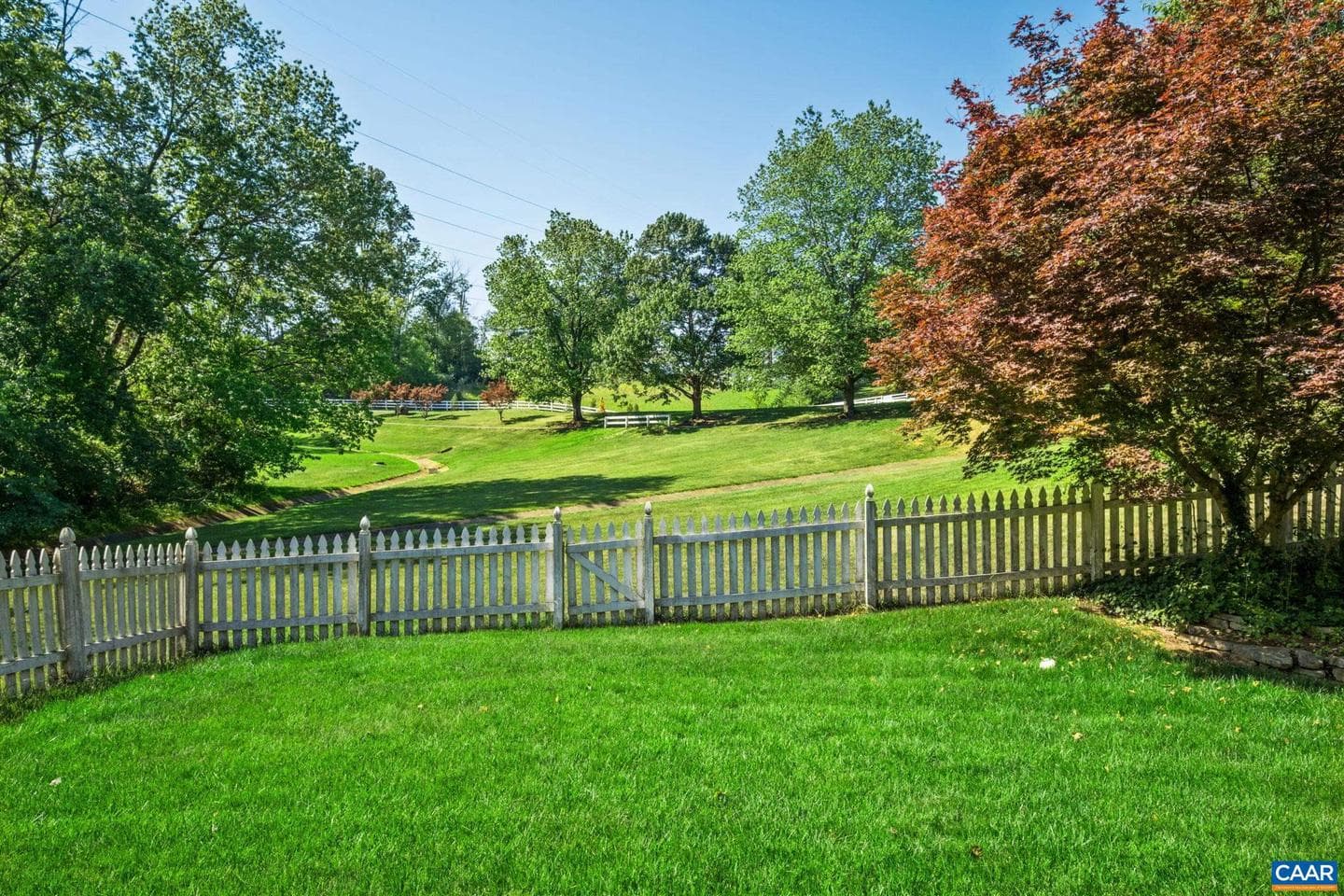 998 Pintail Ln photo 18