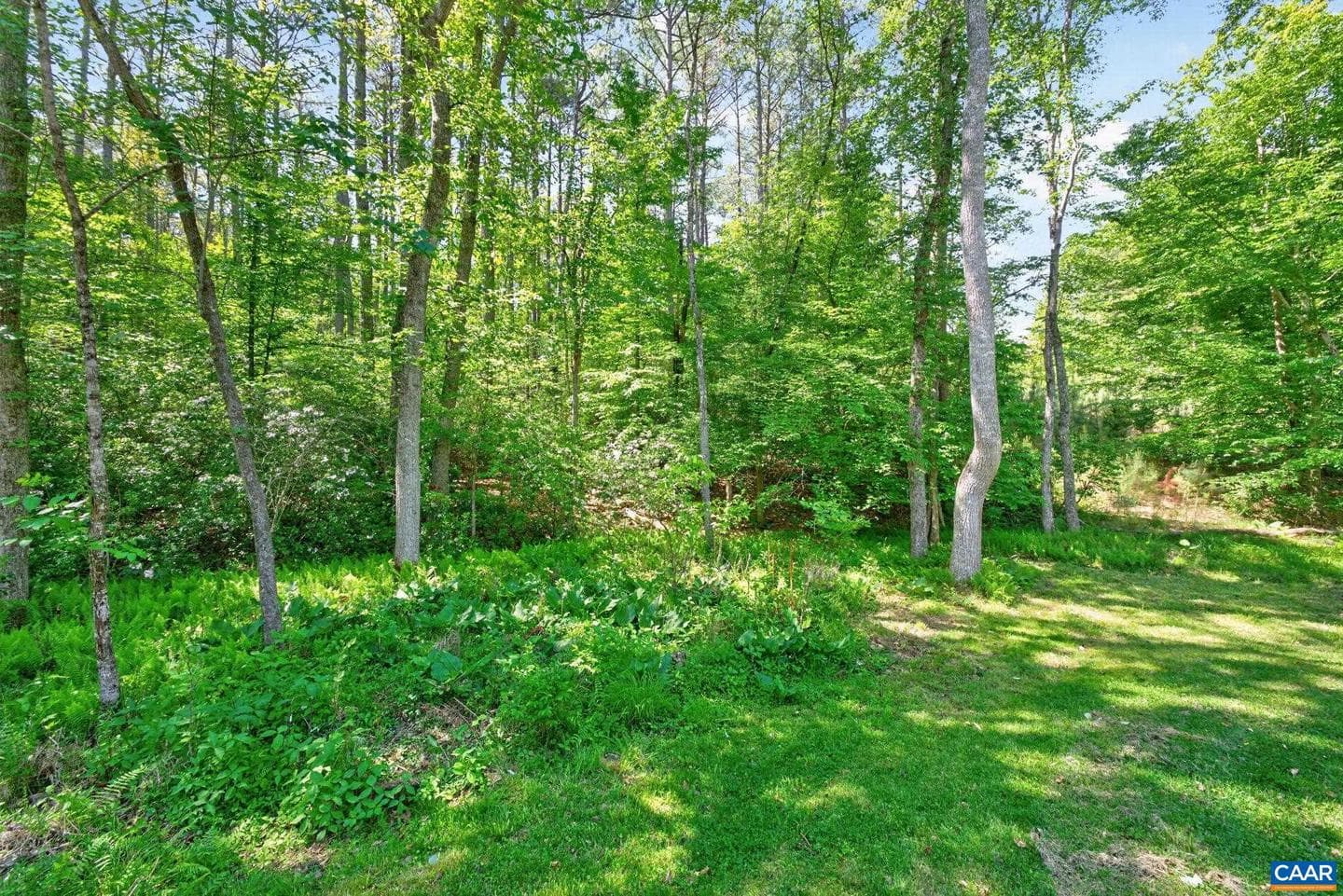 504 Willow Ridge Rd photo 32