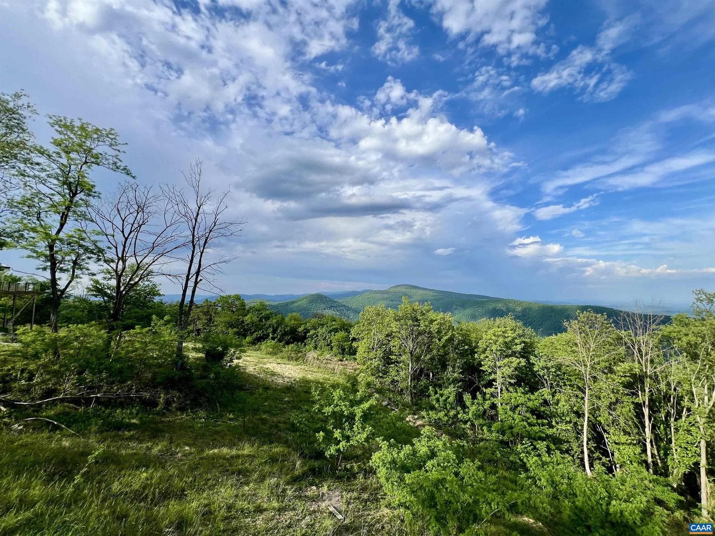 248 Raven Way photo 45