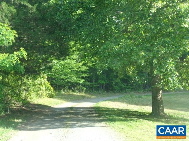 497 The Pines Ln photo 25
