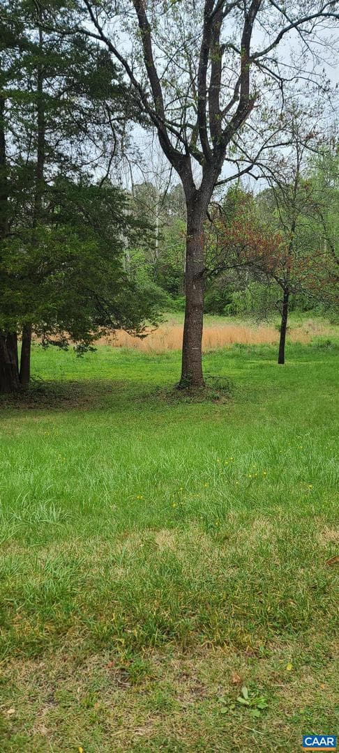 1250 Celt Rd photo 16