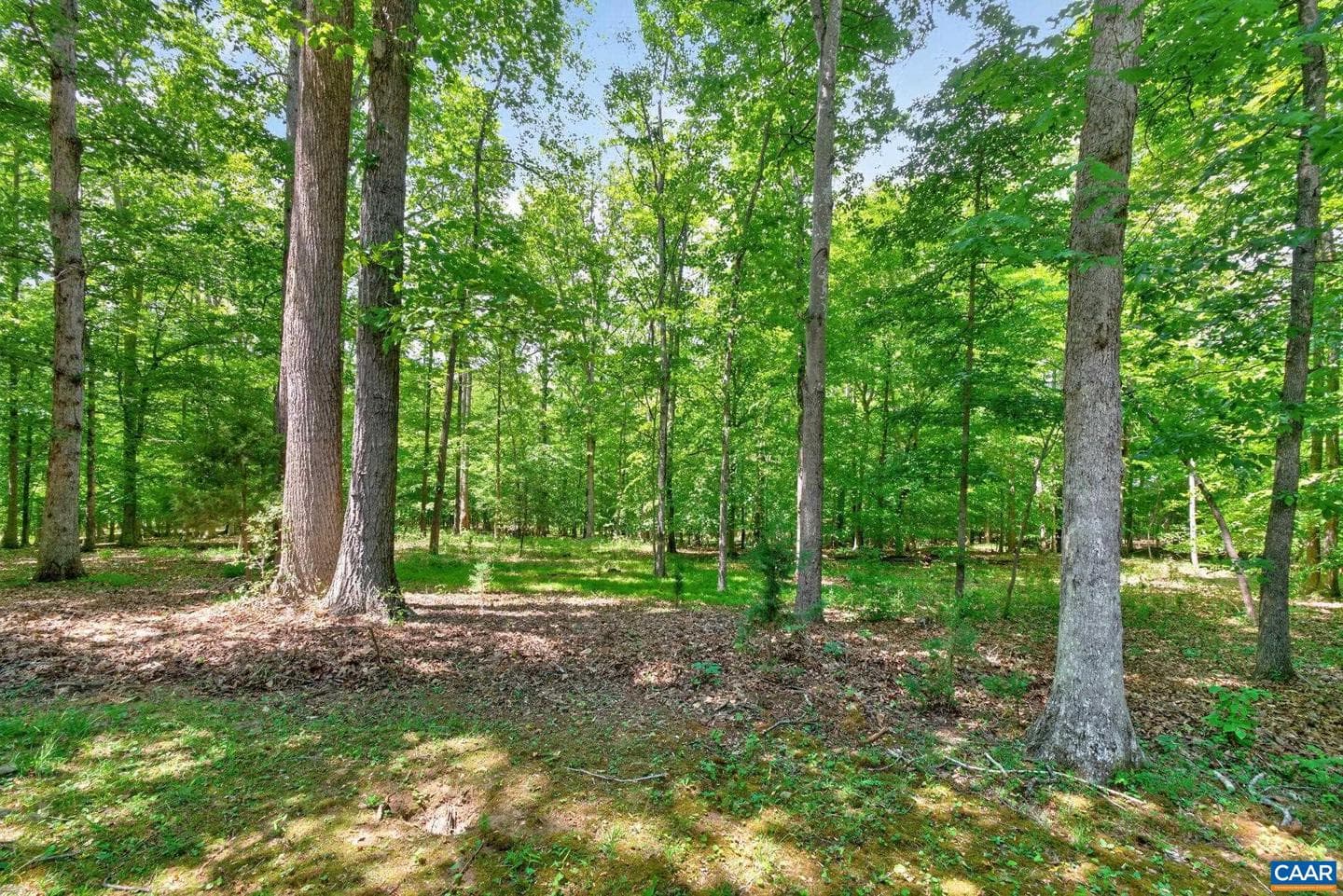 3288 Wooded Acres Ln photo 47
