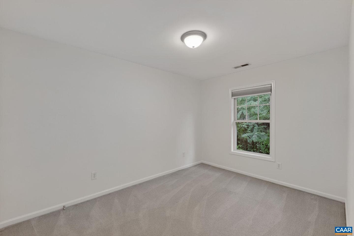 115 Old Fifth Cir photo 22