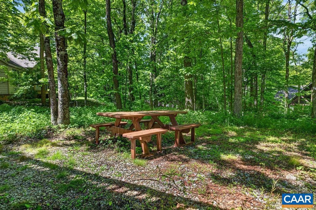 308 Devils Knob Loop photo 46