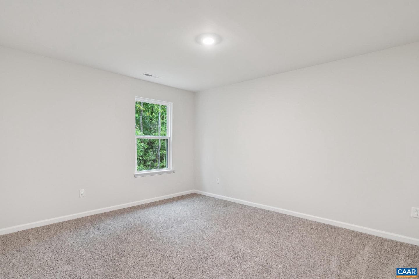 171 Liberty Ln photo 22