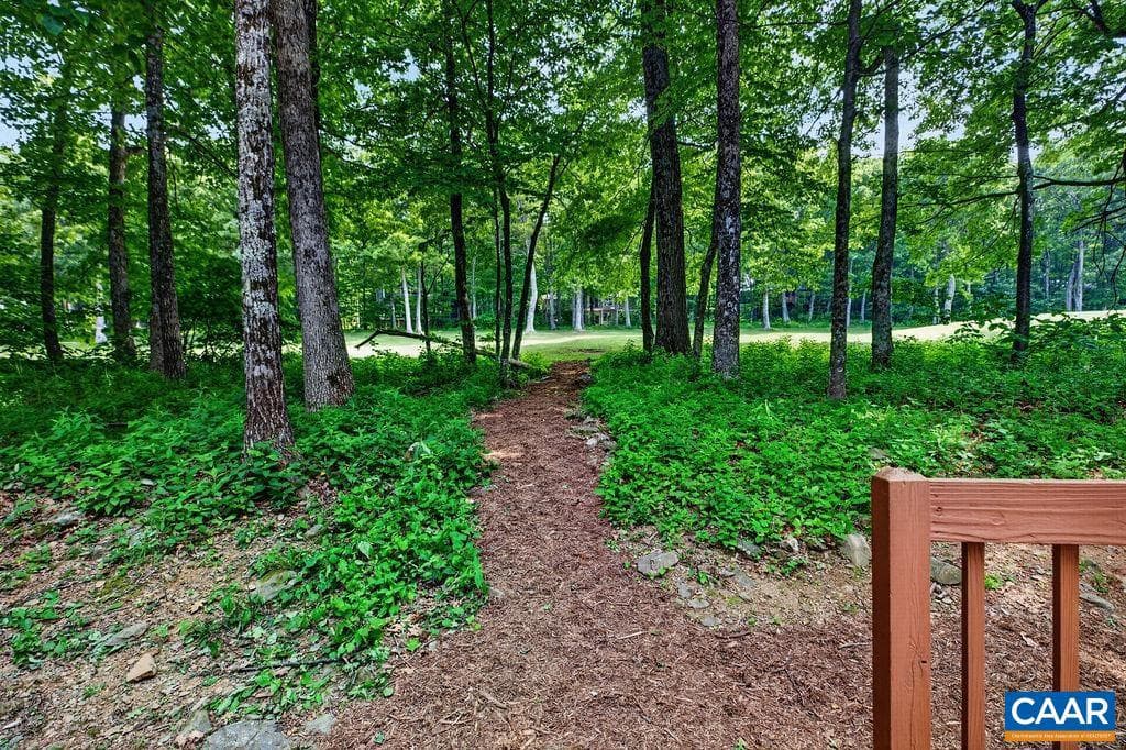 20 Blue Ridge Ct photo 27