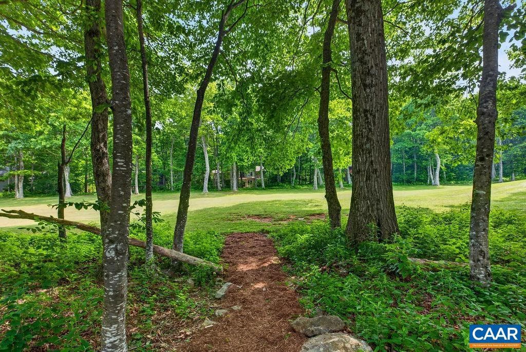 20 Blue Ridge Ct photo 6
