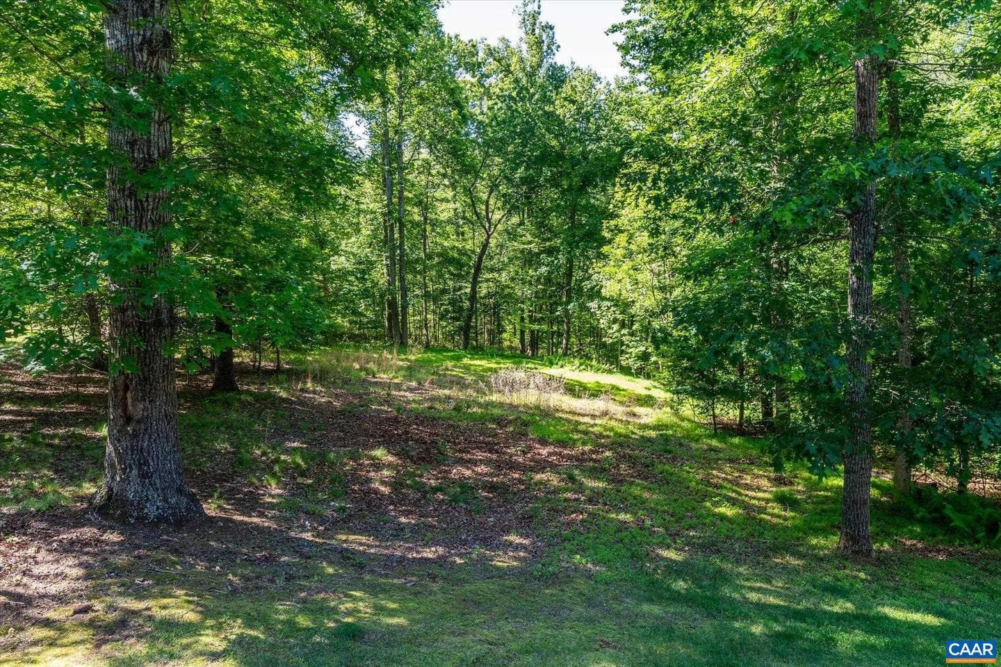 895 Langdon Woods Dr photo 67
