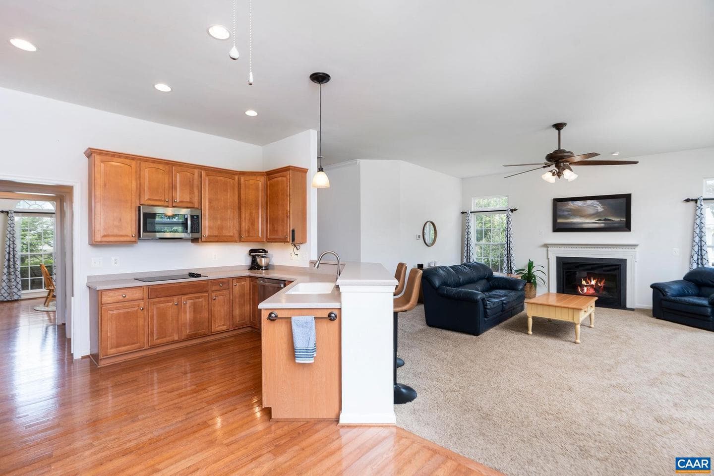 10182 Spring Dr photo 5