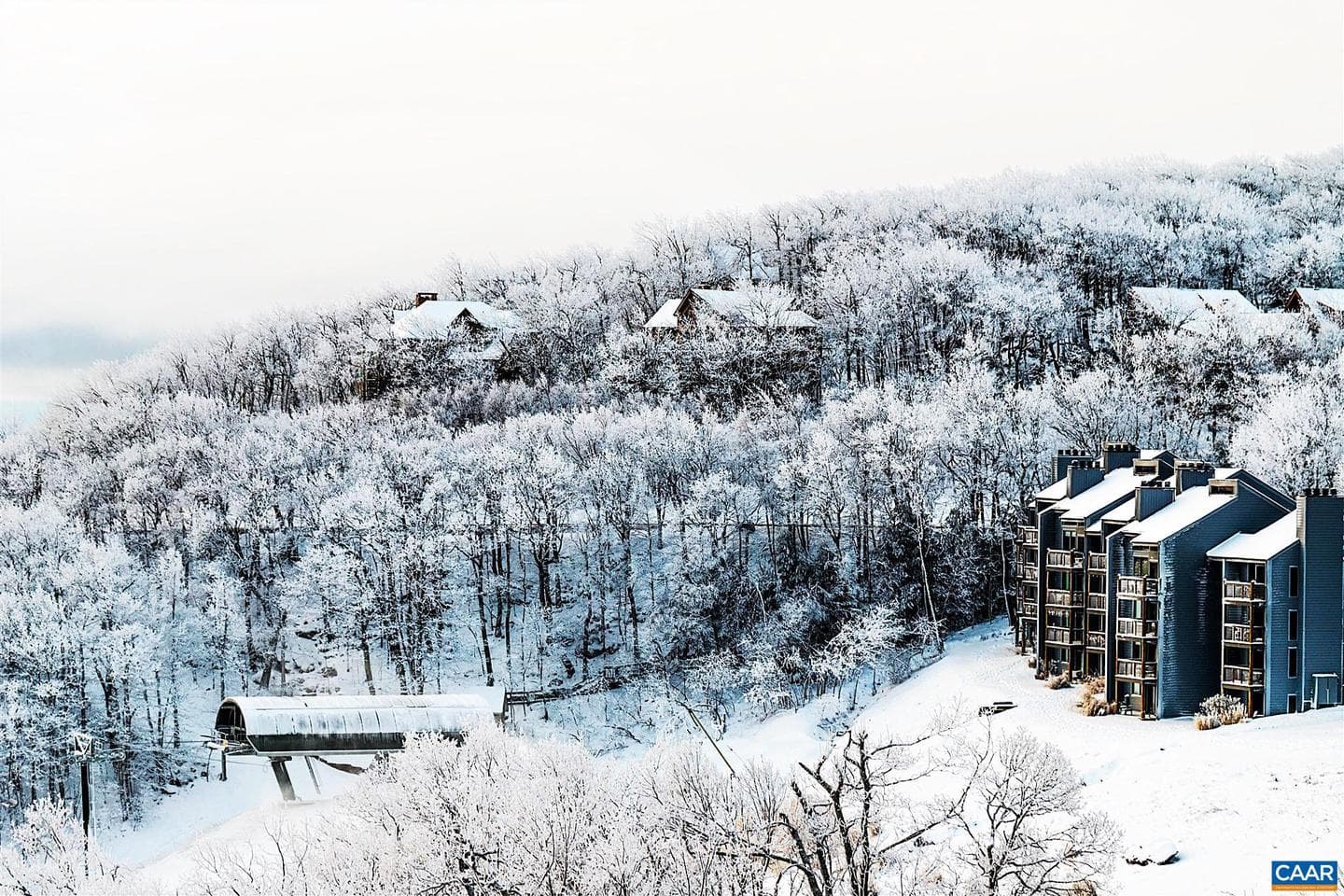 1641 Overlook Condos photo 48