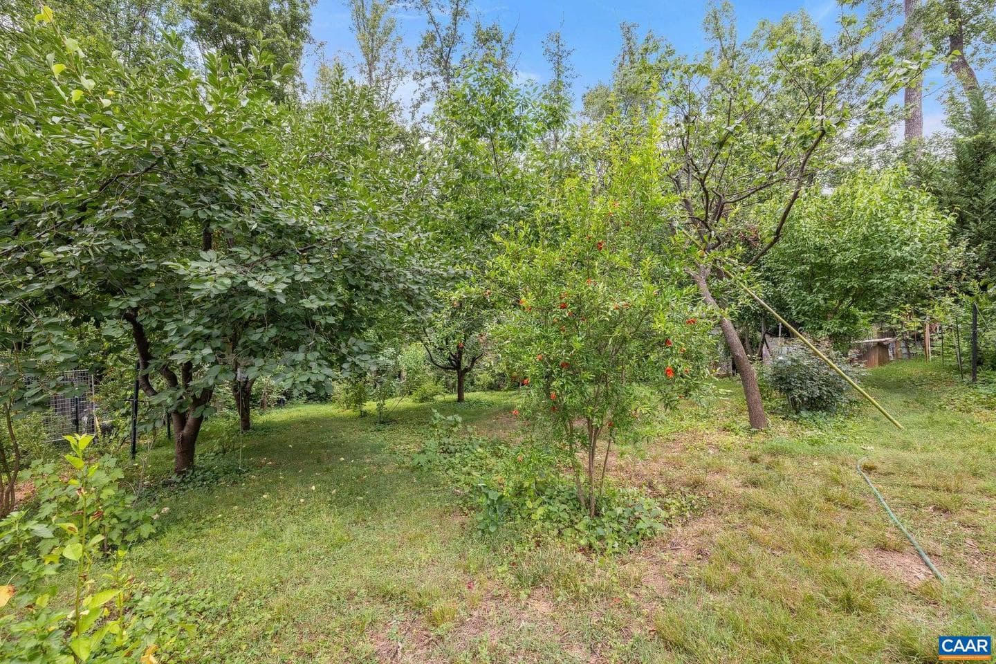 2417 Angus Rd photo 50