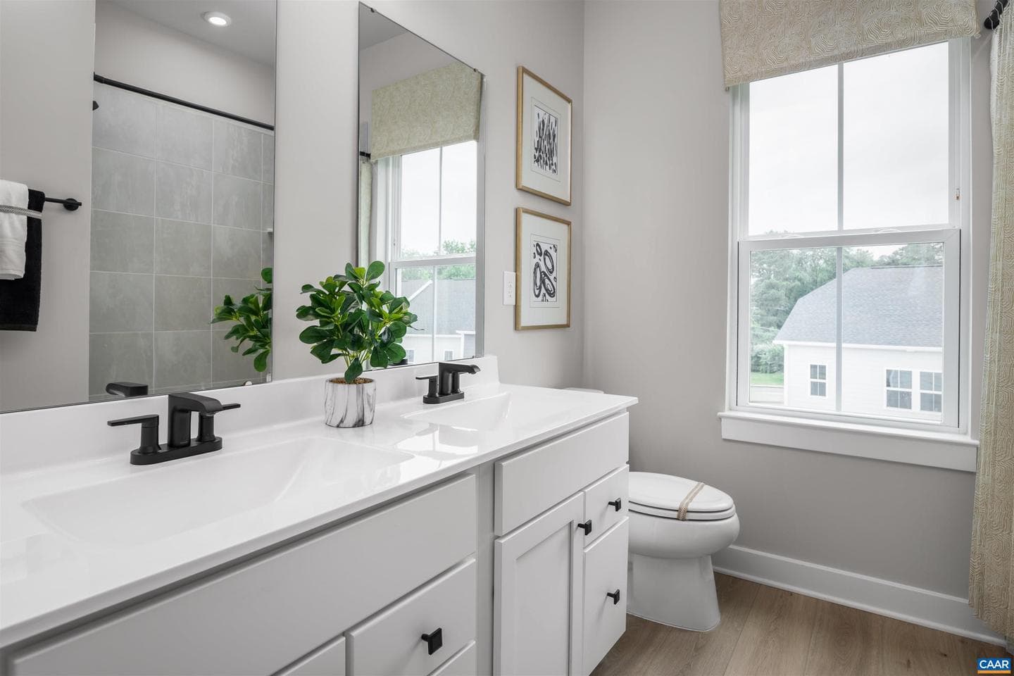 2c Perseus Ln photo 14