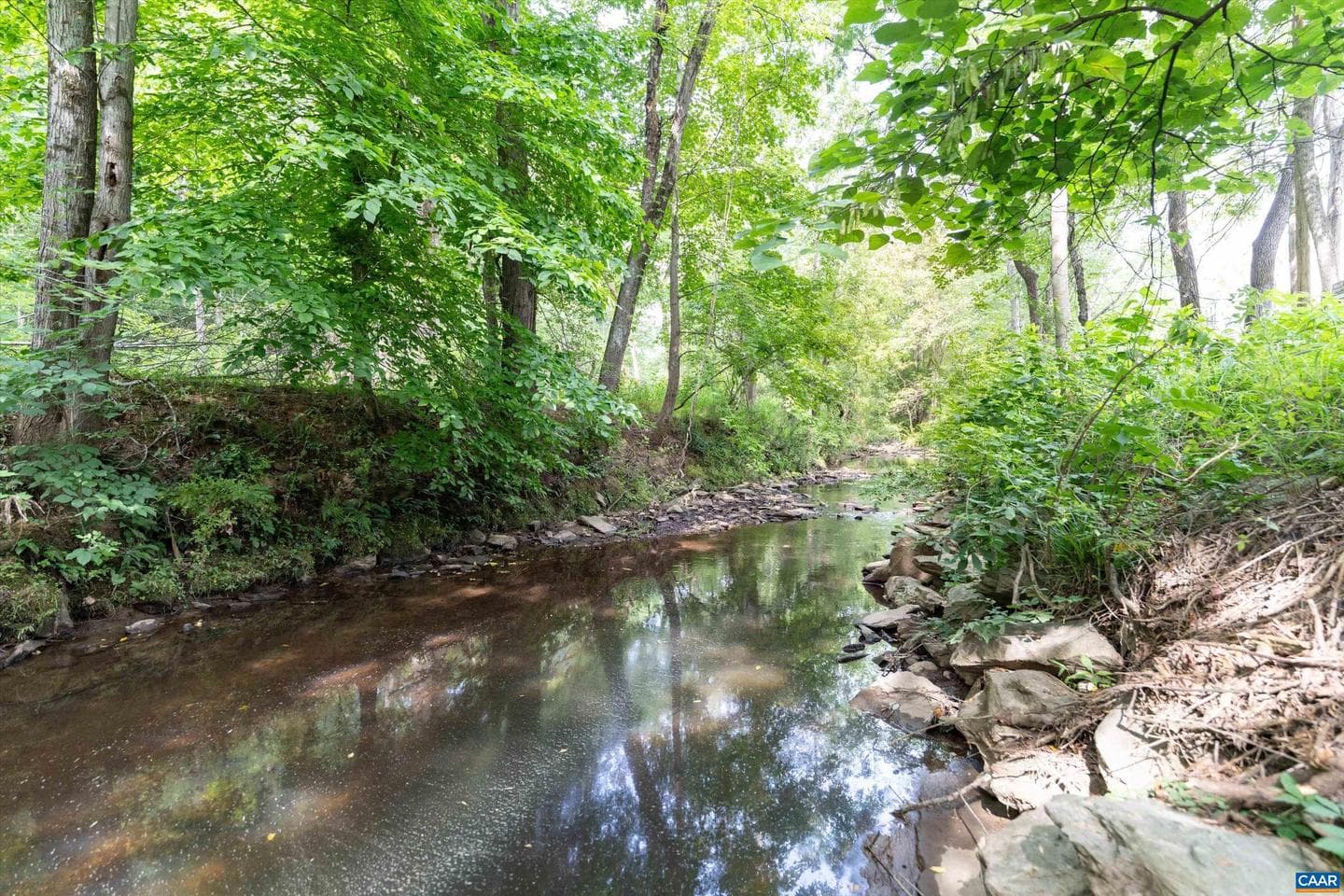 1118 Mill Park Drive Ext photo 43