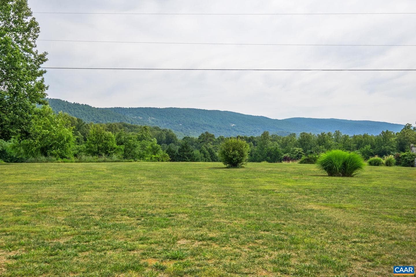 158 Apple Ln photo 41