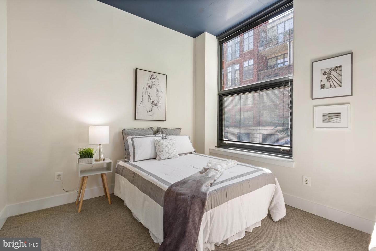 2301 Champlain Street NW #101 photo 19