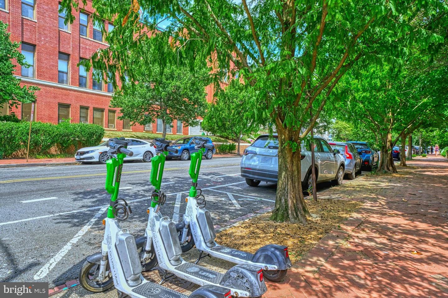 311 E Street SE photo 44