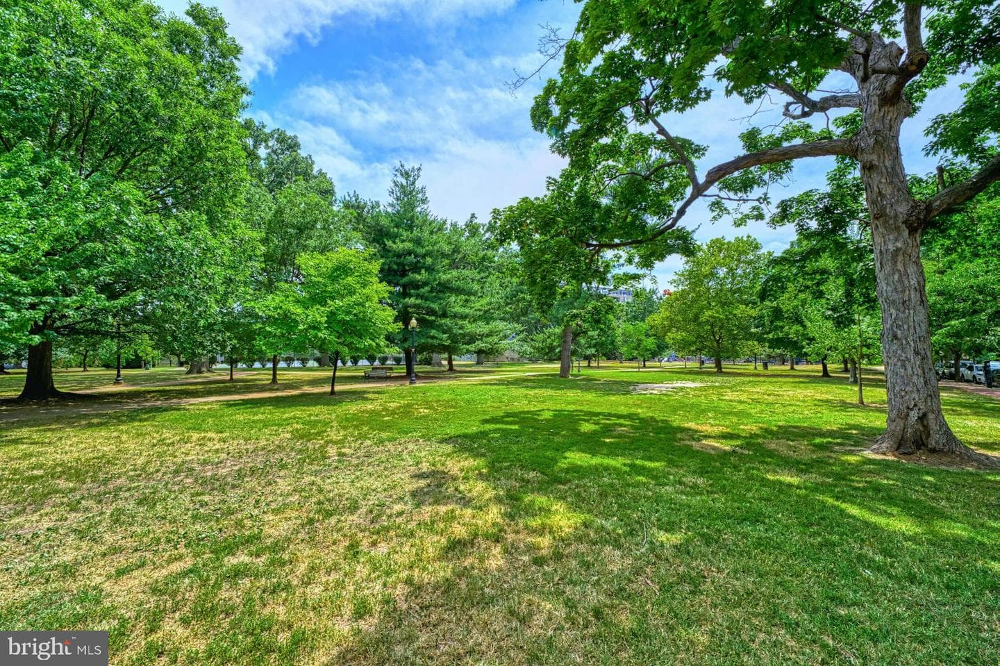 311 E Street SE photo 49