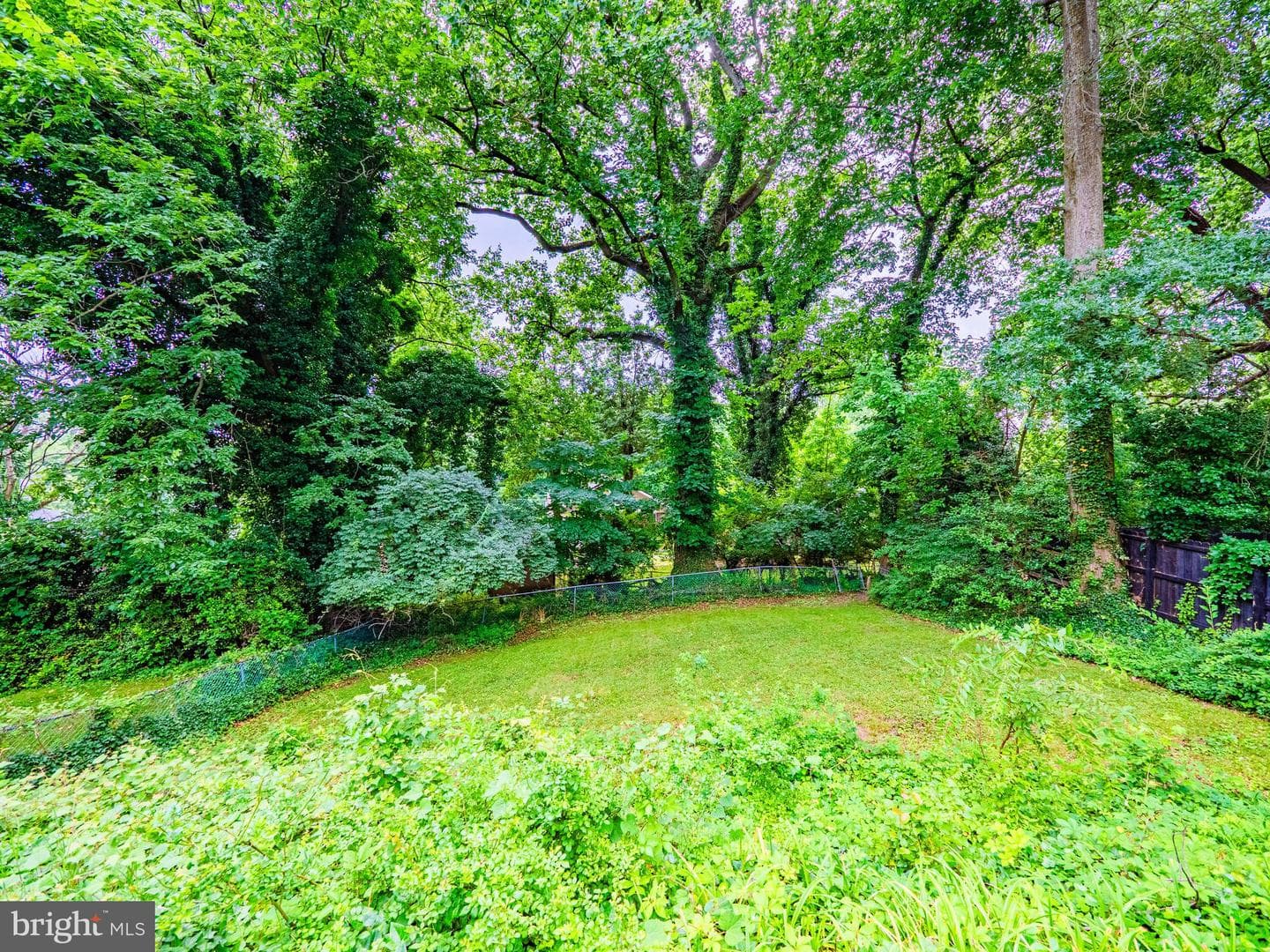 3669 Camden Street SE photo 44