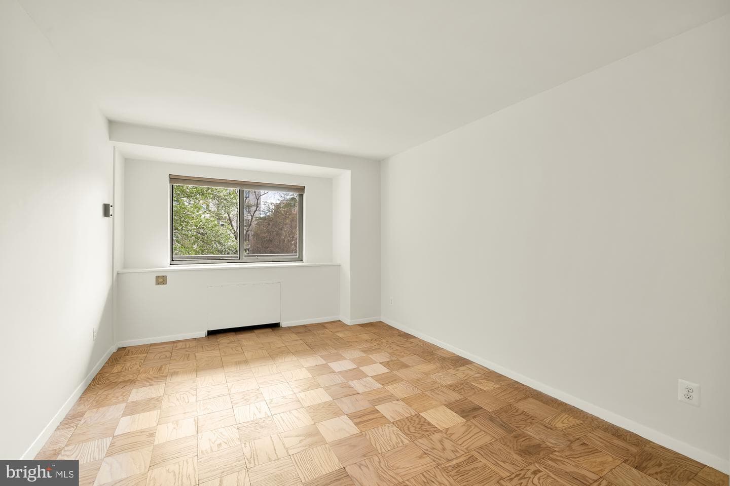 730 24th Street NW #203 photo 17