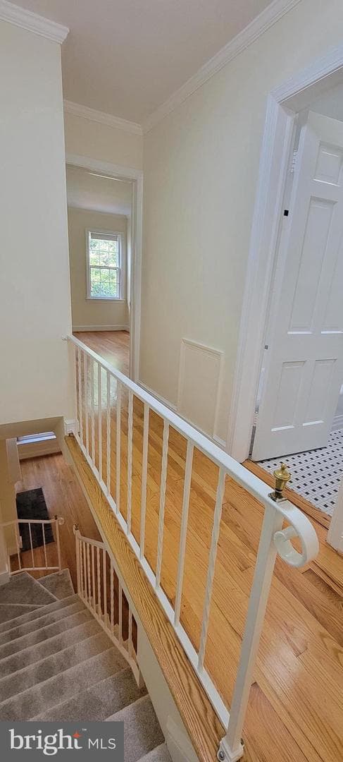 2413 I Street NW photo 12