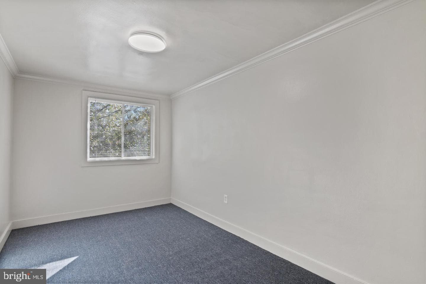 2844 Hartford Street SE #303 photo 9