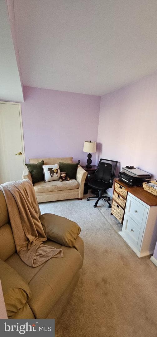 510 N Street SW #N-233/234 photo 37