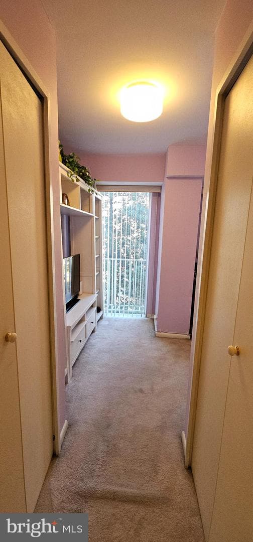 510 N Street SW #N-233/234 photo 38