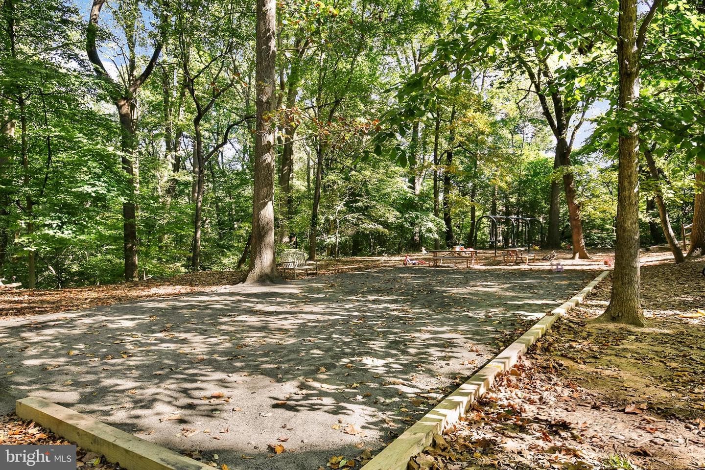 2801 Cortland Place NW #2 photo 21