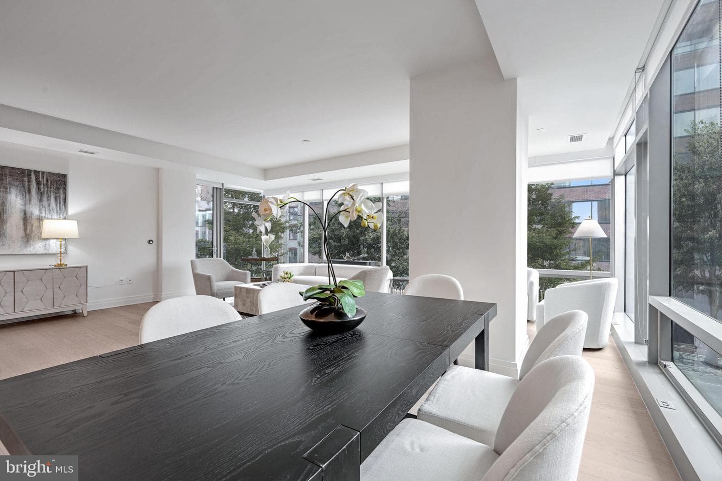 2501 M Street NW #208 photo 7