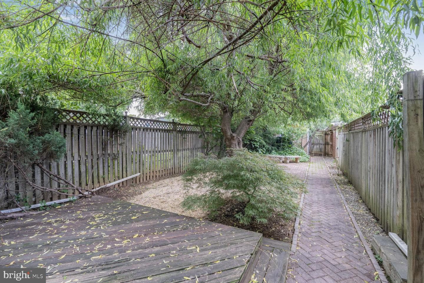 62 Channing Street NW photo 27