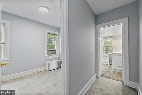 1217 Varnum Street NE photo 24