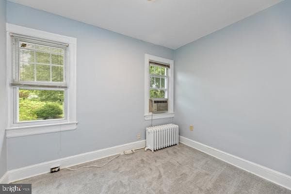 1217 Varnum Street NE photo 30