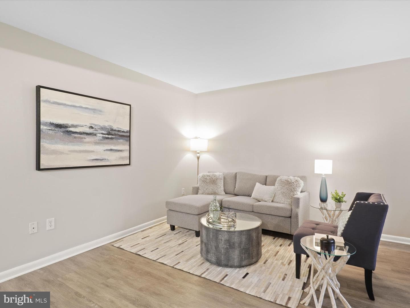 350 G Street SW #n407 photo 11