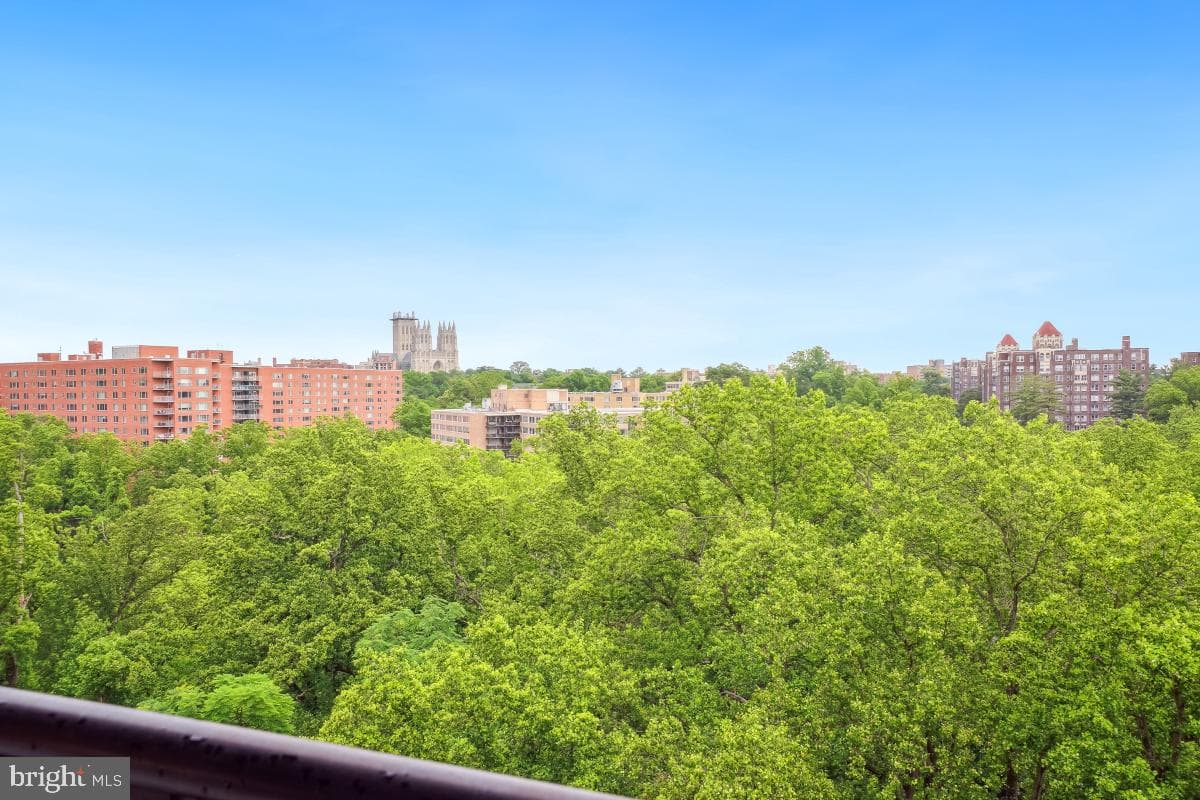 4201 Cathedral Avenue NW #1411e photo 3