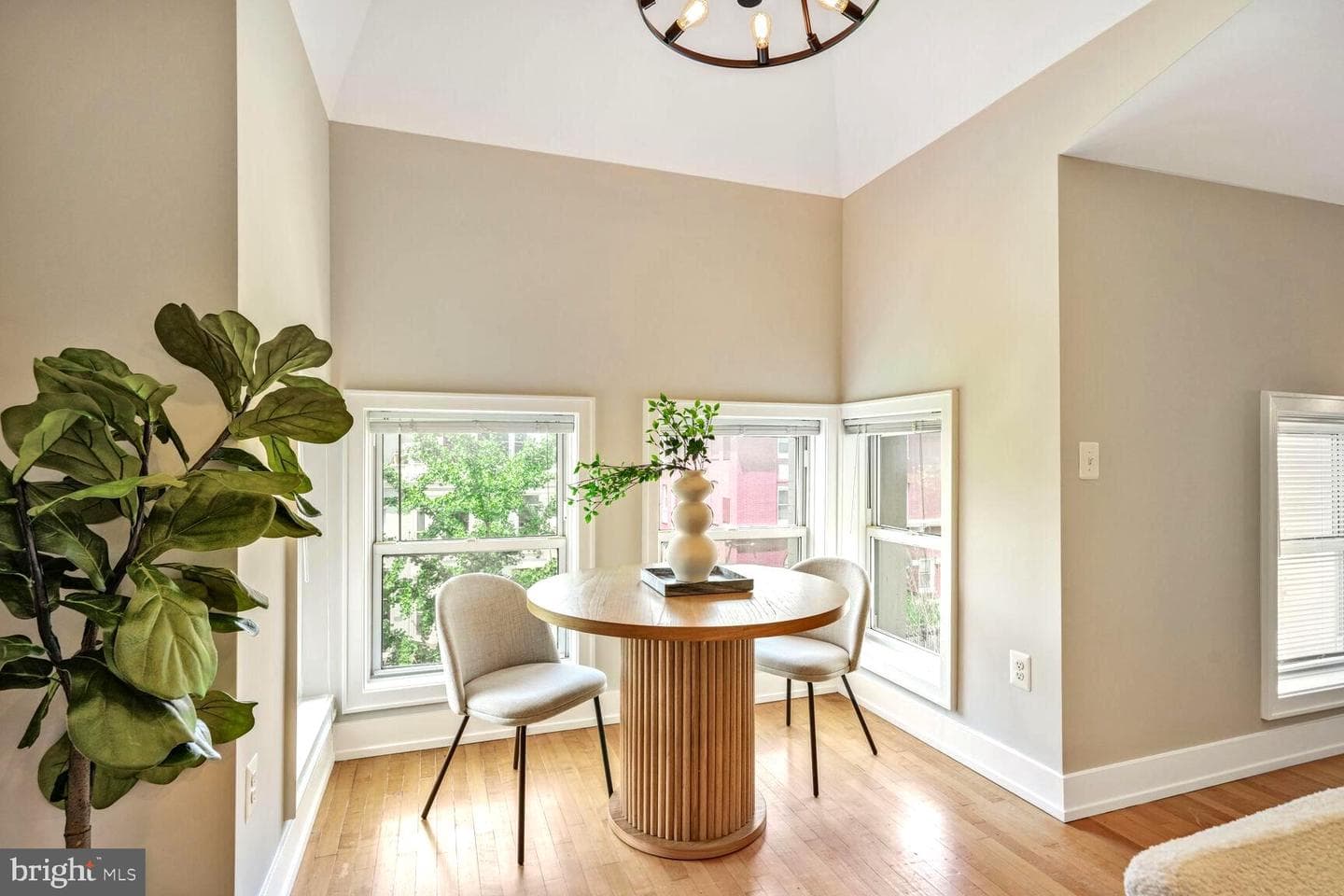2515 17th Street NW #5 photo 5