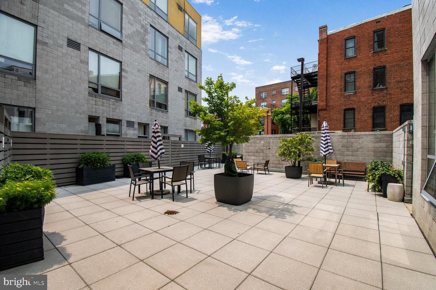 1414 Belmont Street NW #207 photo 23