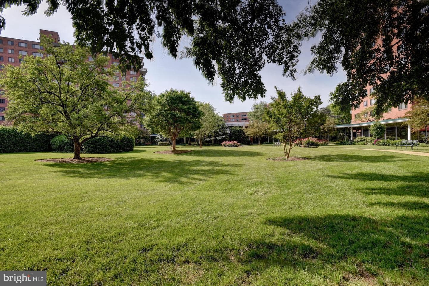 4201 Cathedral Avenue NW #415e photo 50