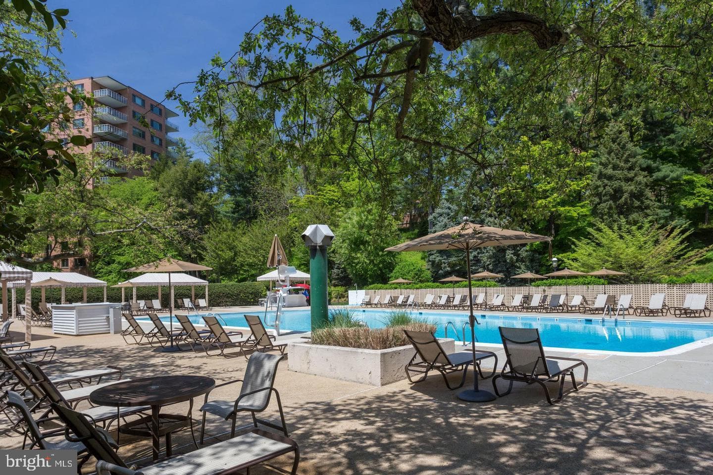 4201 Cathedral Avenue NW #415e photo 51