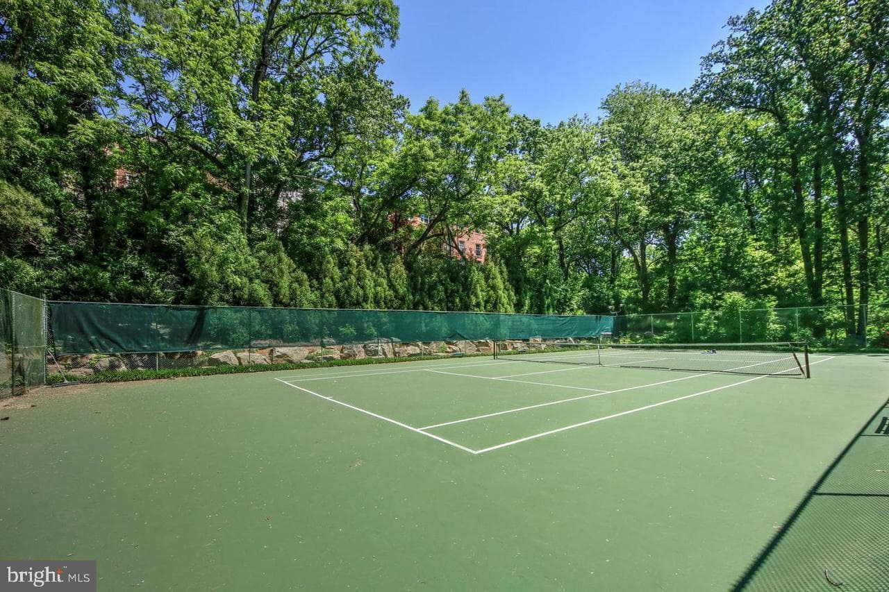 4201 Cathedral Avenue NW #415e photo 53