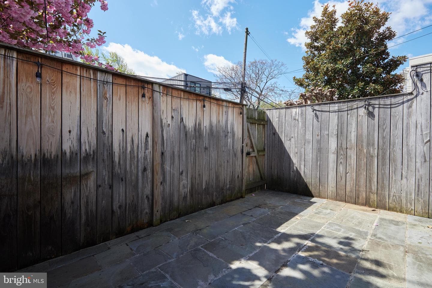1420 T Street NW #2 photo 31