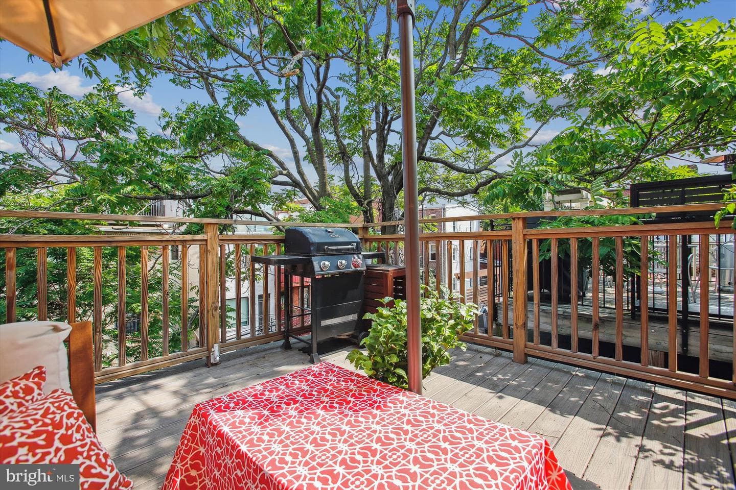 1725 Willard Street NW #3 photo 26