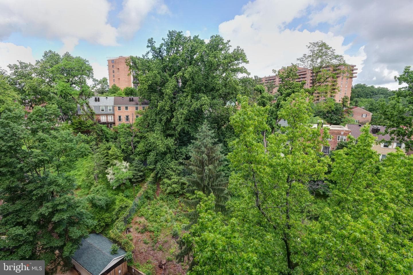 4201 Cathedral Avenue NW #1004e photo 44