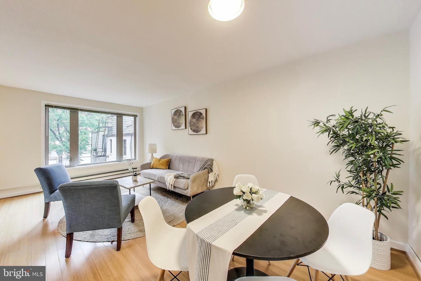 2639 15th Street NW #205